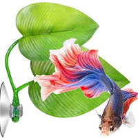 4 piezas Betta Bed Leaf Hamaca para Betta Fish, ligero y realista Resting Spot, sin BPA, práctico, cómodo y seguro - BESTMASCOTA.COM