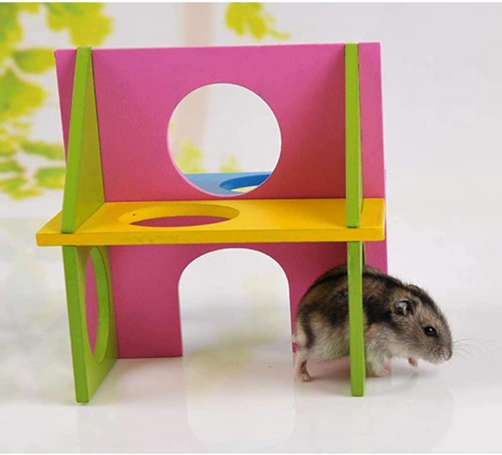 Litewood - Túnel de madera para hámster, juguete para hacer ejercicio, para  pequeñas mascotas