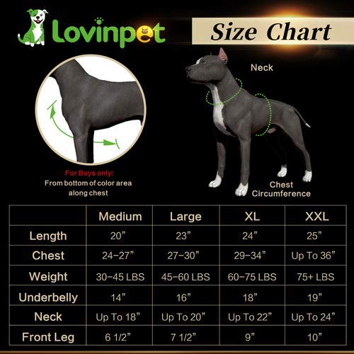 LovinPet - Ropa para perros pijamas, recuperación posquirúrgico para perros grandes, pijamas perros, pijamas para perros de cobertura completa, caballos salvajes con estampado galopando |