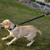 Vivaglory Correa corta para perro con asa acolchada, doble correa de nailon reflectante para mascotas para entrenar, correa para perros de tamaño mediano a grande - BESTMASCOTA.COM