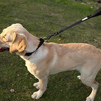 Vivaglory Correa corta para perro con asa acolchada, doble correa de nailon reflectante para mascotas para entrenar, correa para perros de tamaño mediano a grande - BESTMASCOTA.COM