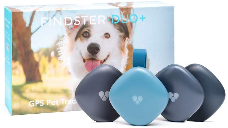 Findster Duo Pet Tracker Free of Monthly Fees GPS Tracking Collar for Dogs and Cats Pet Activity Monitor BESTMASCOTA.COM
