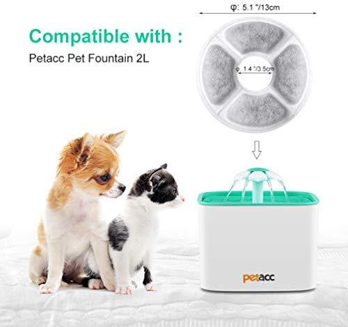 Petacc water fountain 2025
