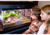 T Rex Vivarium Log Aterrizaje 10 Gal - BESTMASCOTA.COM