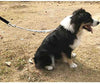Yangbaga - Correa de extensión de amortiguador para perro, evita lesiones en el brazo y los hombros y evita que los perros se lastimen, ideal para bicicleta, correr, caminar - BESTMASCOTA.COM
