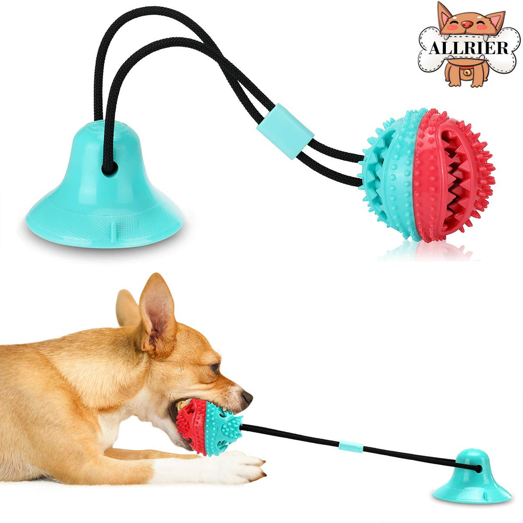 http://bestmascota.com/cdn/shop/products/61hQvMCmNhL._SL1200_1024x1024.jpg?v=1607351435