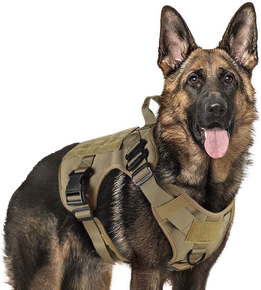 military working dog gear Rabbitgoo Tactical Dog Harness Vest Large with Handle, Military Working Dog Molle Vest with Metal Buckles & Loop Panels, No-Pull Adjustable Training Harness with Leash Clips for Walking Hiking Hunting