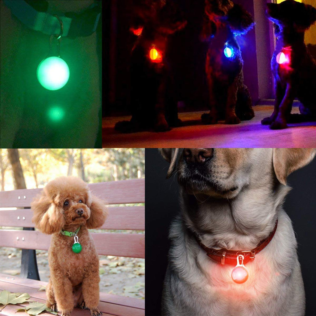 Osense collar de mascota con luz LED de 6 piezas, clip para mascotas, luces  de perro para collares, resistente al agua, luces nocturnas para perros,  mosquetón de acero inoxidable actualizado, batería incluida