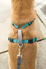 PetSafe 3in1 Harness, from The Makers of The Easy Walk Harness - BESTMASCOTA.COM