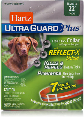 Collar Hartz UltraGuard, UltraGuard Plus, Anaranjado - BESTMASCOTA.COM