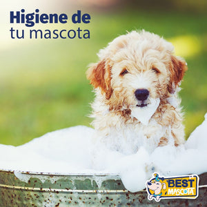 Higiene de tu mascota