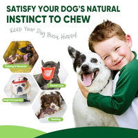 Dog Toys, 3-Pack Indestructible Dog Chew Toys for Aggressive Chewers, Nylon Durable Dog Toys for Medium Large Breed, Bacon Flavored Tough Dog Bones Chew Toys for Super Chewer