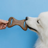 Lumabone Real Bacon 3-Pack Dog Toys for Aggressive Chewers,Wishbone, Dental Chew, Ring Bacon Medium