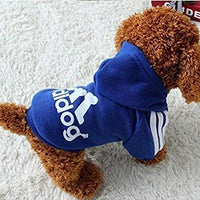 Atuendos deportivos para mascota, abrigos para perros y gatos para clima frío, sudaderas para perro, suéteres para mascota, de Moolecole - BESTMASCOTA.COM