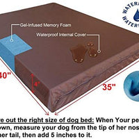 Dogbed4less Cama para perro de espuma viscoelástica, ortopédica, funda impermeable interna y 2 fundas exteriores lavables, varios tamaños, colores - BESTMASCOTA.COM