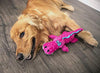 GoDog Just for Me Gators - Peluche de perro con protector para masticar - BESTMASCOTA.COM