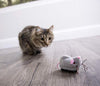 Petlinks Electronic Motion Toys for Cats - BESTMASCOTA.COM