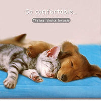 JoicyCo - Cama para perro, almohadilla 35/42/47 en camas lavables, colchón suave para perro, almohadillas antideslizantes para perrera, color de lujo - BESTMASCOTA.COM