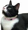 1 x Nuevo tierra collar de gato – 3/8" – índigo - BESTMASCOTA.COM