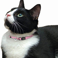 1 x Nuevo tierra collar de gato – 3/8" – índigo - BESTMASCOTA.COM