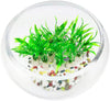 10 unidades) Acuario Artificial Plantas, pequeño tamaño 4 inch Altura aproximada Comsun Fish Tank Decoración Home Decoración de plástico verde - BESTMASCOTA.COM