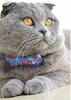 M-YOUNG Collar para gato con campana y pajarita, collares de seguridad ajustables para cachorro de gatito (6.7 in a 10,8 pulgadas) - BESTMASCOTA.COM