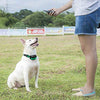 Pet Union PT0Z1 collar de entrenamiento para perros, totalmente impermeable, rango de 1200 pies - BESTMASCOTA.COM