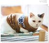 Evursua - Suéter de ropa para gatos, perros pequeños, gatos, ropa de punto de invierno, cálido, suave y de alta elasticidad, apto para mascotas masculinas - BESTMASCOTA.COM