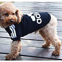 Atuendos deportivos para mascota, abrigos para perros y gatos para clima frío, sudaderas para perro, suéteres para mascota, de Moolecole - BESTMASCOTA.COM