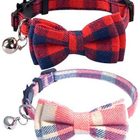 Collar de gato con lazo y campana para gato, ajustable, para mascotas y gatos. - BESTMASCOTA.COM