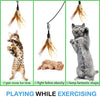 Pawaboo Juguete de plumas para gato, varita interactiva para gato, juguete de pluma voladora con varita extra larga y campana pequeña, juguete divertido para jugar para gatitos o gatos. - BESTMASCOTA.COM