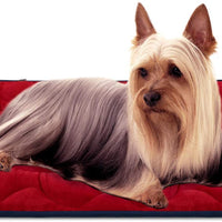 Colchón antideslizante lavable para perros grandes, medianos y pequeños - BESTMASCOTA.COM