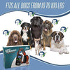 Pet Union PT0Z1 collar de entrenamiento para perros, totalmente impermeable, rango de 1200 pies - BESTMASCOTA.COM