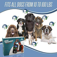 Pet Union PT0Z1 collar de entrenamiento para perros, totalmente impermeable, rango de 1200 pies - BESTMASCOTA.COM