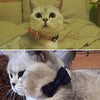 Collar de gato con capucha y pajarita, diseño a cuadros ajustable de seguridad Kitty Kitten Collares (6.8-10.8in) - BESTMASCOTA.COM