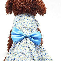 Petroom - Vestido de perro para cachorro, diseño de princesa floral para perros pequeños, gatos para verano - BESTMASCOTA.COM