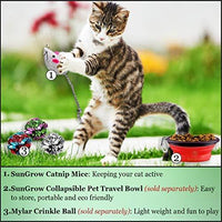 2 juguetes para gatos – Rattling Sound Thrills, promueve la agilidad, la coordinación – aumenta la caza natural, apuntar instinto – interactivo, duradero, seguro para masticar – divertido para horas - BESTMASCOTA.COM