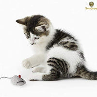 2 juguetes para gatos – Rattling Sound Thrills, promueve la agilidad, la coordinación – aumenta la caza natural, apuntar instinto – interactivo, duradero, seguro para masticar – divertido para horas - BESTMASCOTA.COM