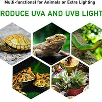 2-Pack 25W UVA UVB Lamp Lights with Bulbs| Heat and Light for Reptiles and Amphibian Tanks, Terrariums Cages | Adjustable and Rotates 360° | Clip or Hang Light | Works with Various Light Bulbs - BESTMASCOTA.COM