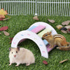 2 Pack Rat Flying Saucer Exercise Wheel & Wood Bridge Rainbow Climb - Durable ABS Plastic Running & Jogging Running Silent Spinner - For Mouse Hedgehog Chinchilla Pets Mice Hamsters Gerbil Cage Toy - BESTMASCOTA.COM