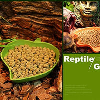2 unidades Leaf Reptil Alimentos y Agua Tazón para mascota Acuario Ornamento terrario Plato Plate Lagartos Tortoises o pequeños Reptiles - BESTMASCOTA.COM