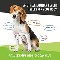 Vital Essentials Alimentos para perros de ingredientes limitados, sin granos, congelados, paquete de 3 - BESTMASCOTA.COM