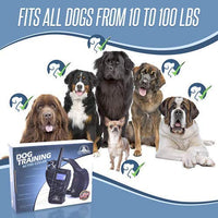 Pet Union PT0Z1 collar de entrenamiento para perros, totalmente impermeable, rango de 1200 pies - BESTMASCOTA.COM