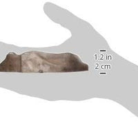 Zoo Med - Plato de agua para roca de reptiles, color puede variar - BESTMASCOTA.COM