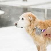 Herramienta de cepillo para rastrillo de pelo para mascotas con cuchillas largas de seguridad de 2.5 in para desenredar el pelo de la capa inferior estereada o anudada. - BESTMASCOTA.COM