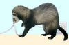 Cord Protector –CritterCord –Una nueva forma de proteger a tu mascota de masticar cables peligrosos - BESTMASCOTA.COM