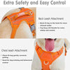 BARKBAY - Arnés para perro con clip frontal y asa de fácil control - BESTMASCOTA.COM