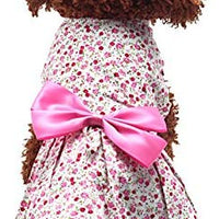 Petroom - Vestido de perro para cachorro, diseño de princesa floral para perros pequeños, gatos para verano - BESTMASCOTA.COM