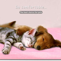 JoicyCo - Cama para perro, almohadilla 35/42/47 en camas lavables, colchón suave para perro, almohadillas antideslizantes para perrera, color de lujo - BESTMASCOTA.COM