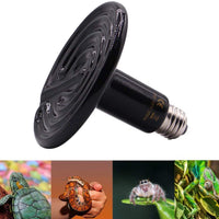 250 W Reptil Lámpara de calor infrarrojo lámpara de aparatos calentador emisor de cerámica - BESTMASCOTA.COM